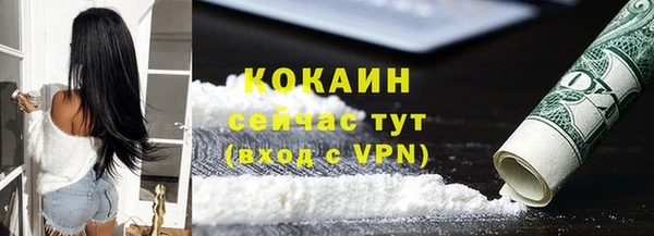 шишки Беломорск