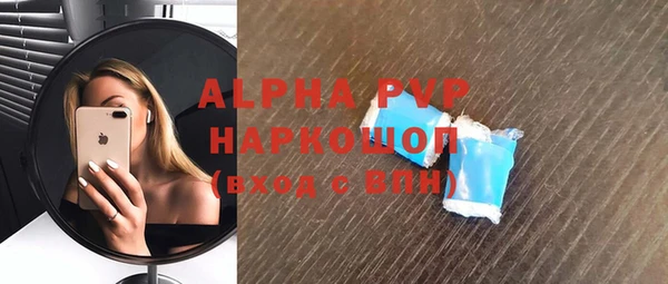 шишки Беломорск